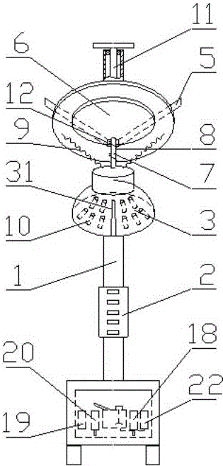 Vertical automatic massage shampoo machine