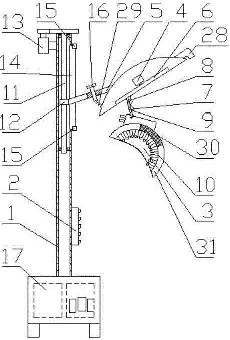 Vertical automatic massage shampoo machine