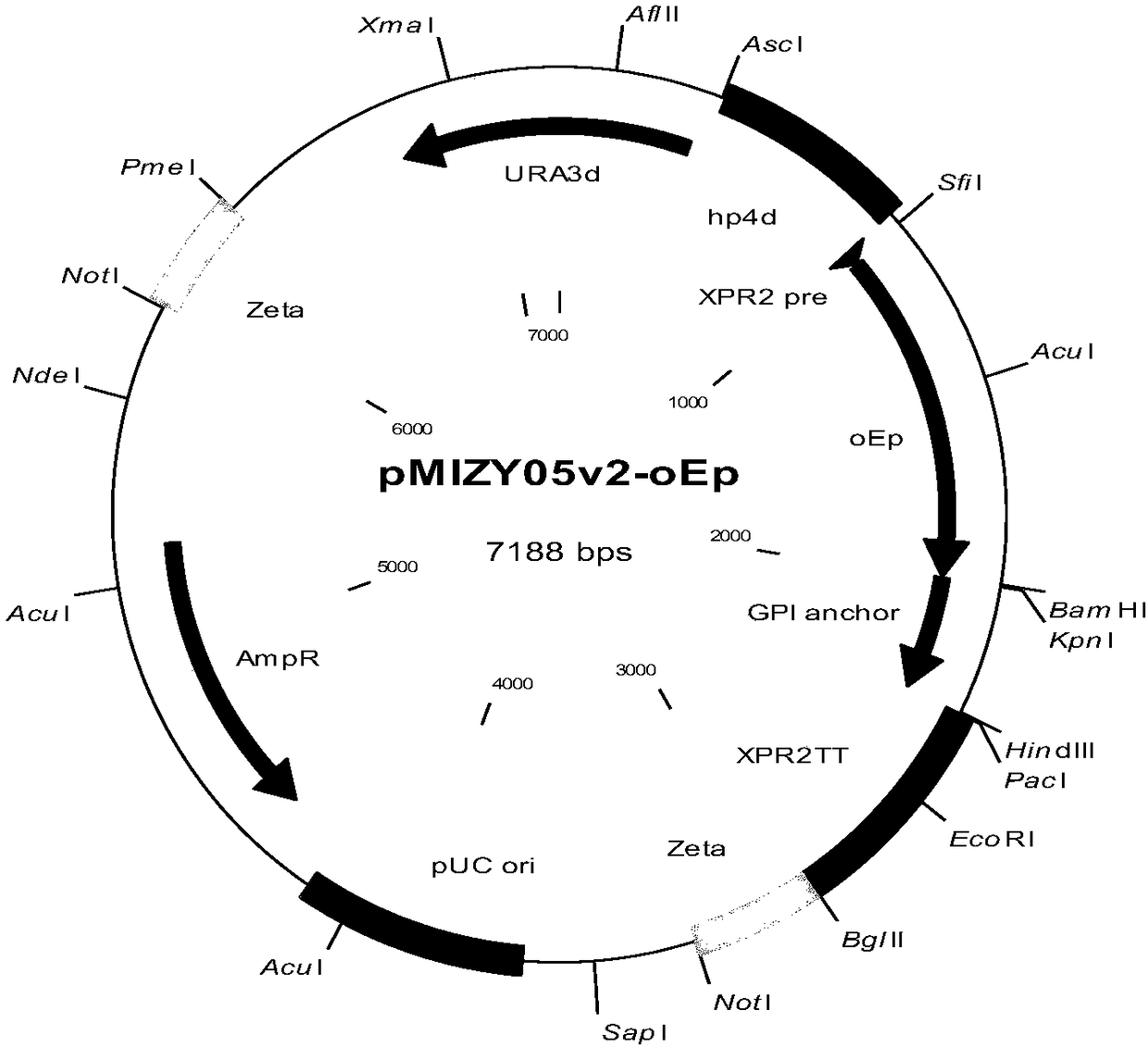 Recombinant saccharomycetes with soybean hull peroxidases displayed on cell surfaces as well as construction method and application of recombinant saccharomycetes