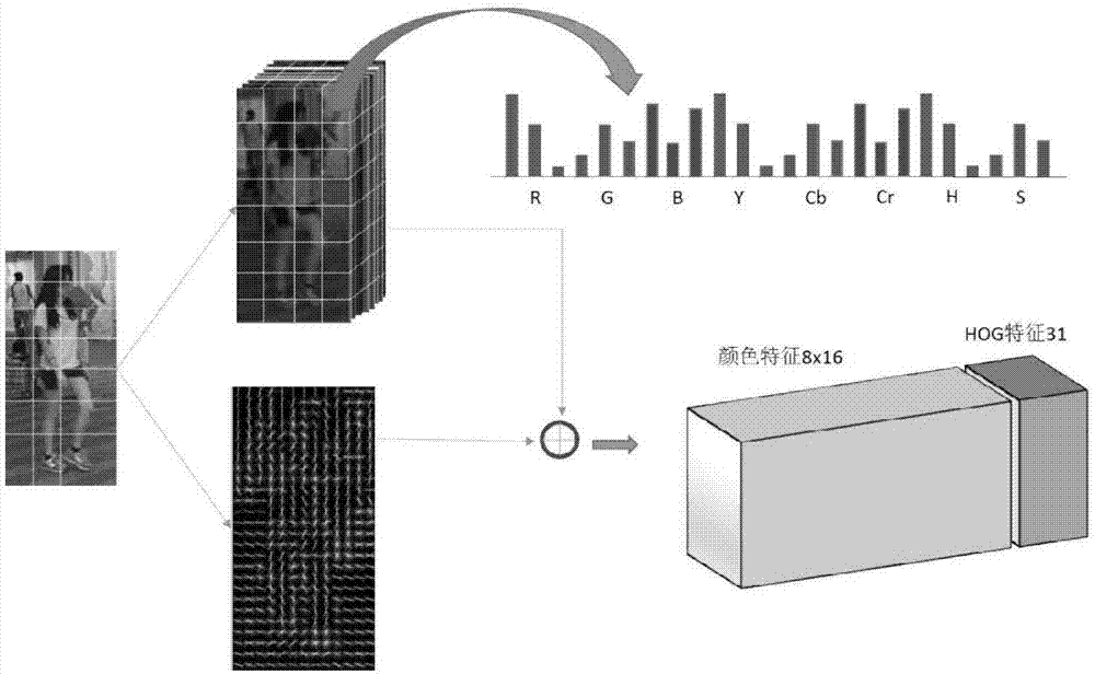 Correlation filtering based end-to-end rapid pedestrian re-identification method