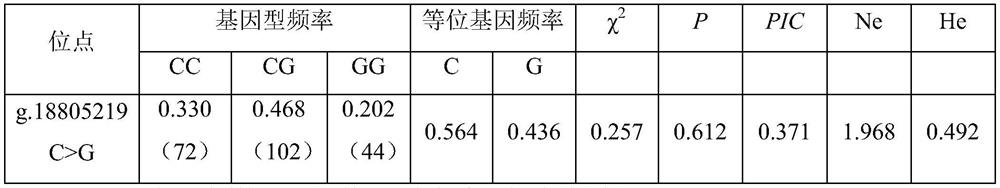 SNP molecular marker influencing birth weight of alpine merino and application thereof