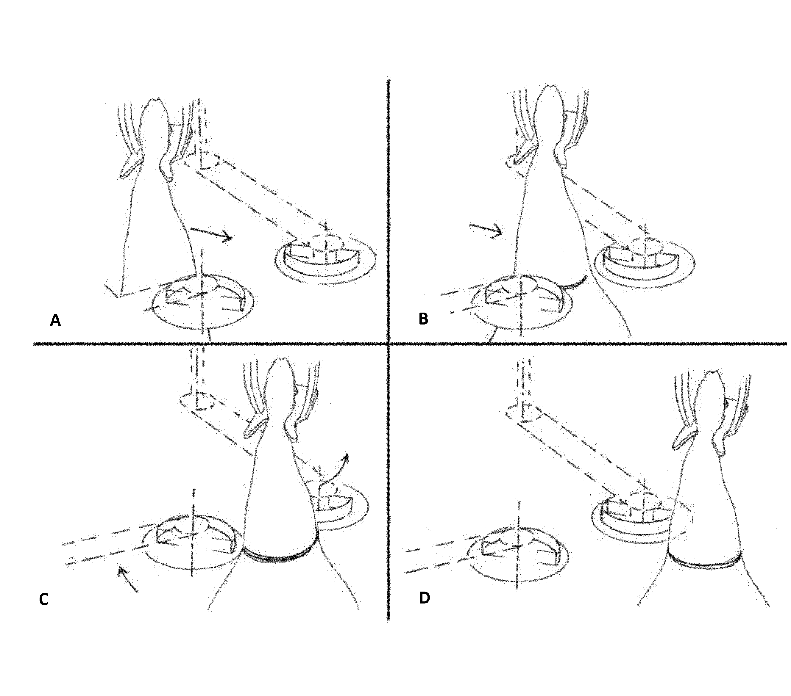 A system for processing carcass parts