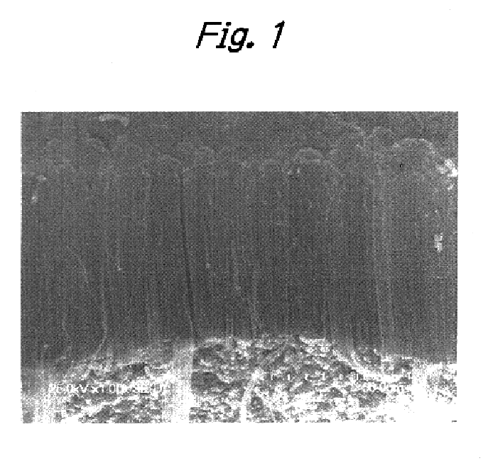 Process for producing aligned carbon nanotube films