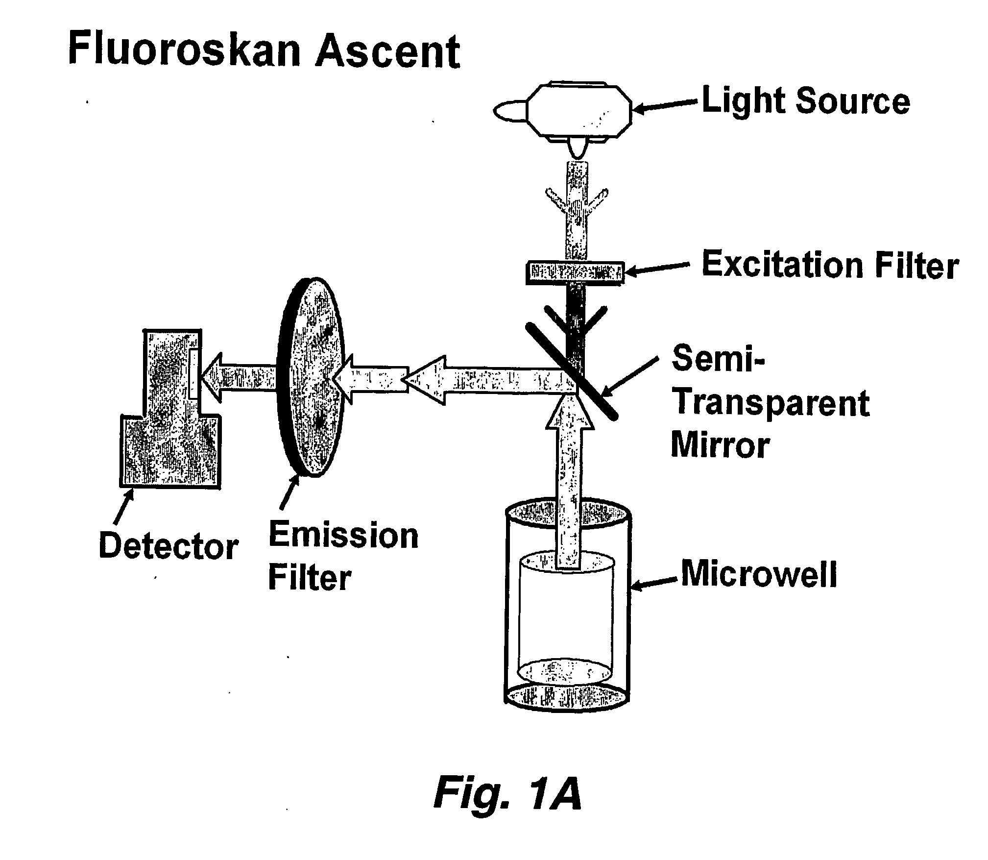 Automated method for high throughput screening of nematodes