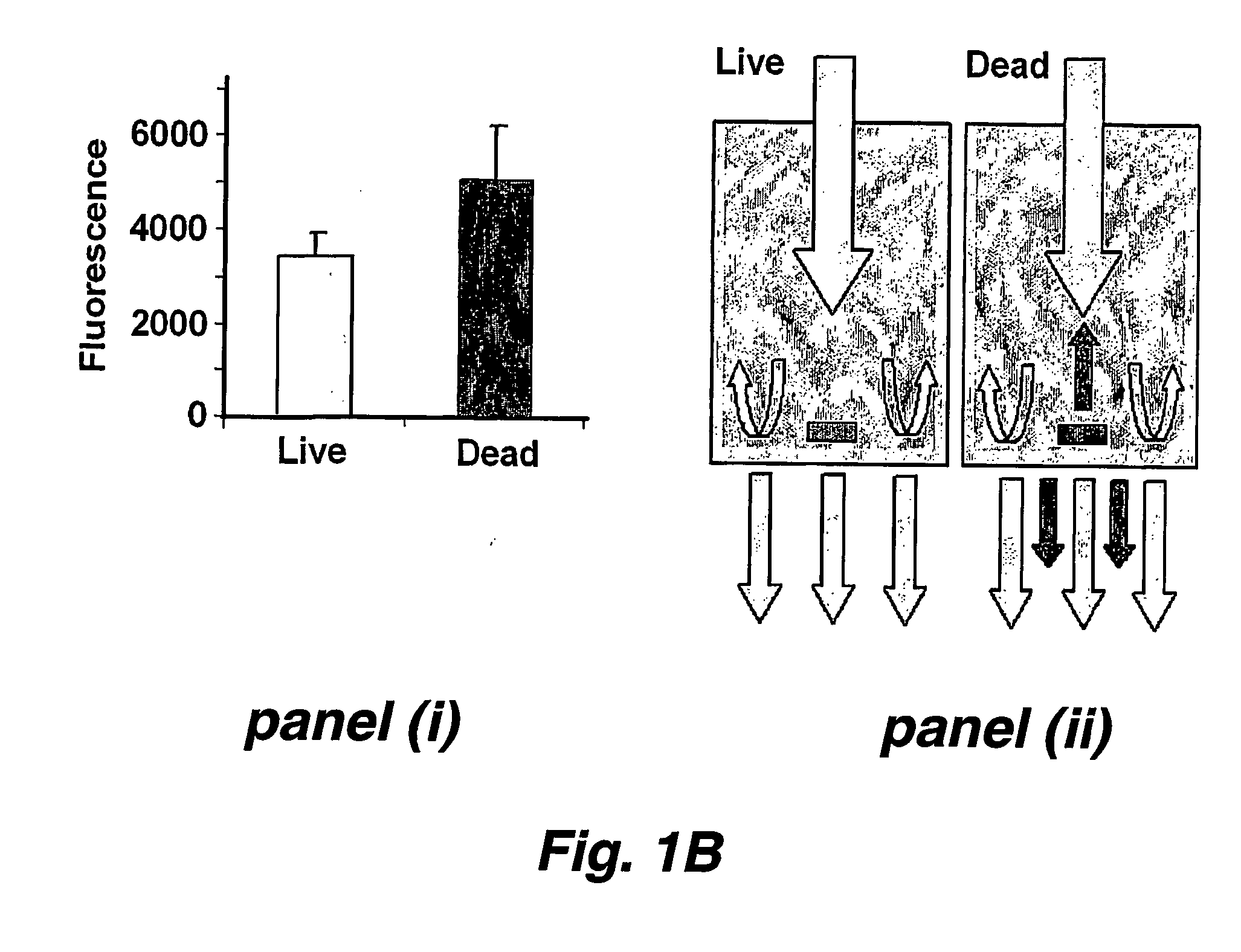 Automated method for high throughput screening of nematodes