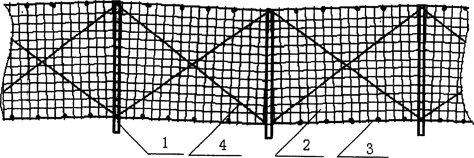 Plastic warp knitted vertical net windbreak sand-desert-preventing method