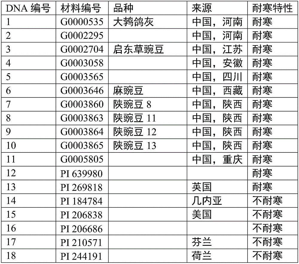 Pea cold resistance correlated SSR primer compositions and application thereof