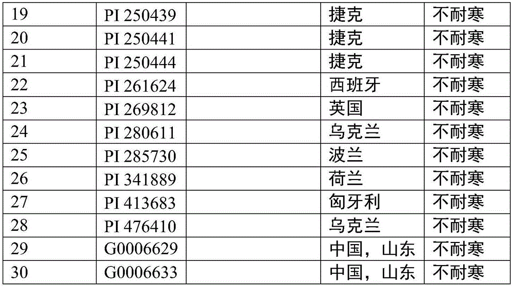 Pea cold resistance correlated SSR primer compositions and application thereof