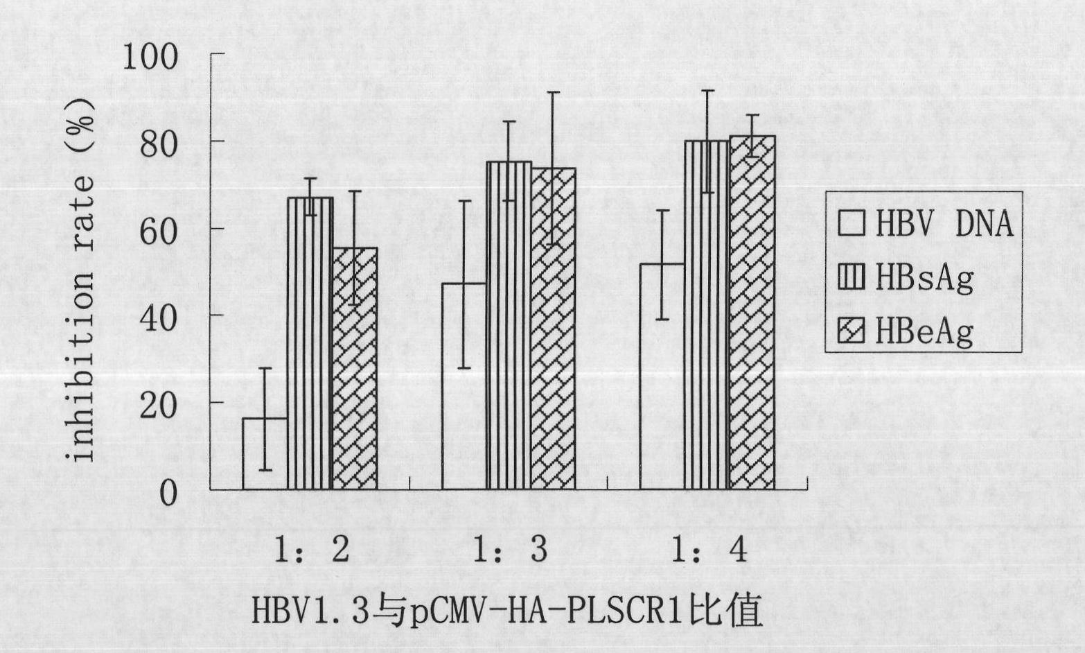 Application of phospholipid scramblase 1 in preparing anti-hepatitis B virus infective medicament