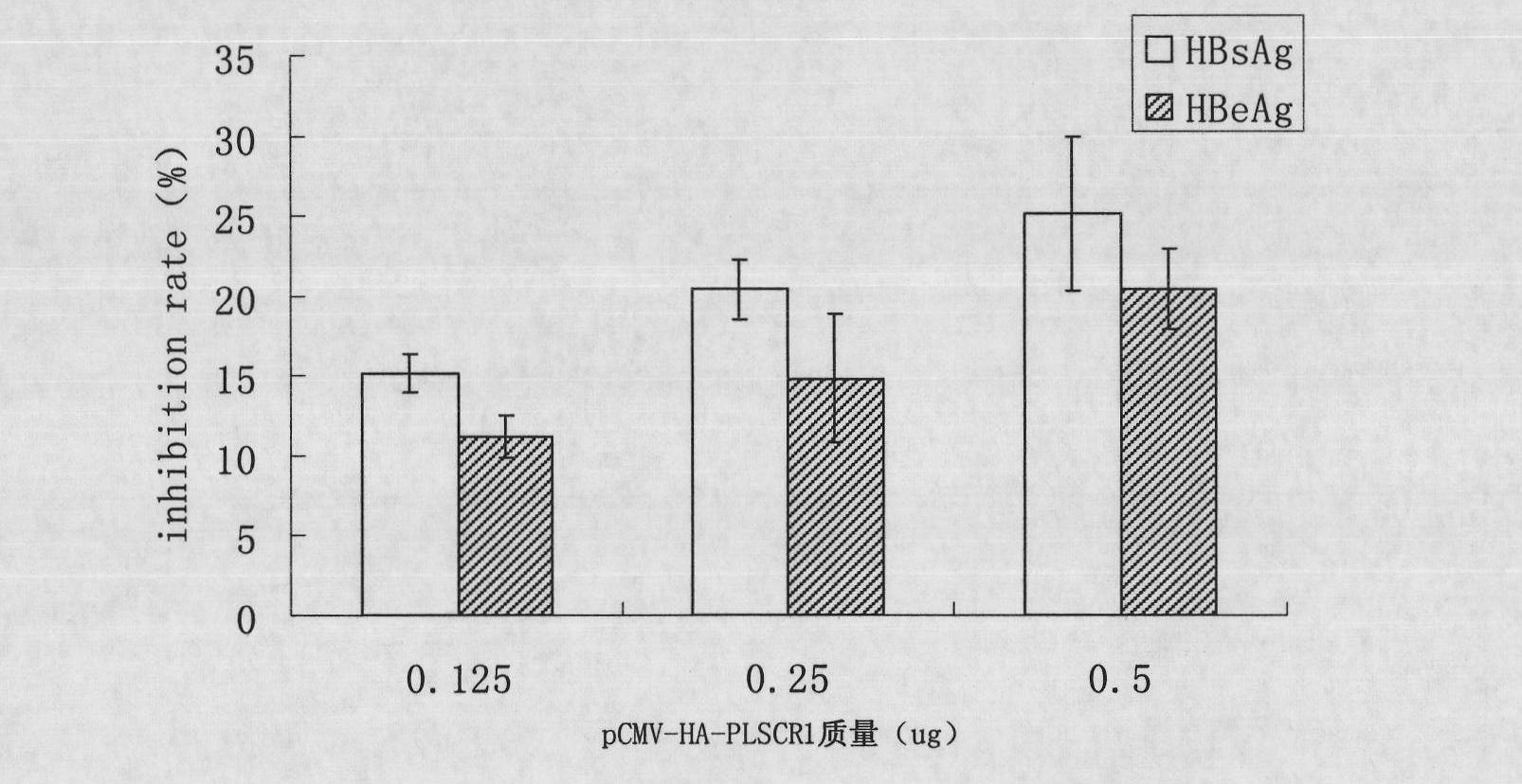 Application of phospholipid scramblase 1 in preparing anti-hepatitis B virus infective medicament