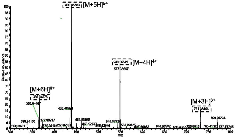 Fluorescent probe used for cell membrane imaging, and preparation method and application of fluorescent probe