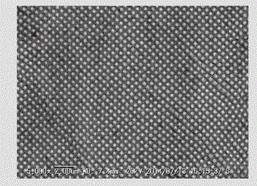 Method for preparing two-dimensional metallic photonic crystal structure in large area through femtosecond laser direct writing