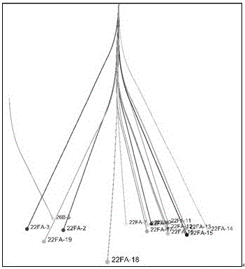 Spatial homing method for highly deviated wells