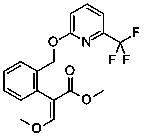 Ultra-low volume liquid containing picoxystrobin and morpholine bactericide and application thereof