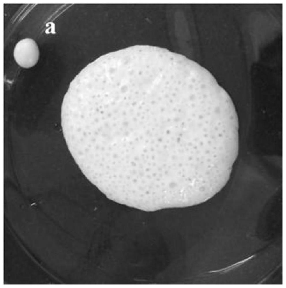 A kind of quick-drying quick-flammable sealing glue and its preparation method and application