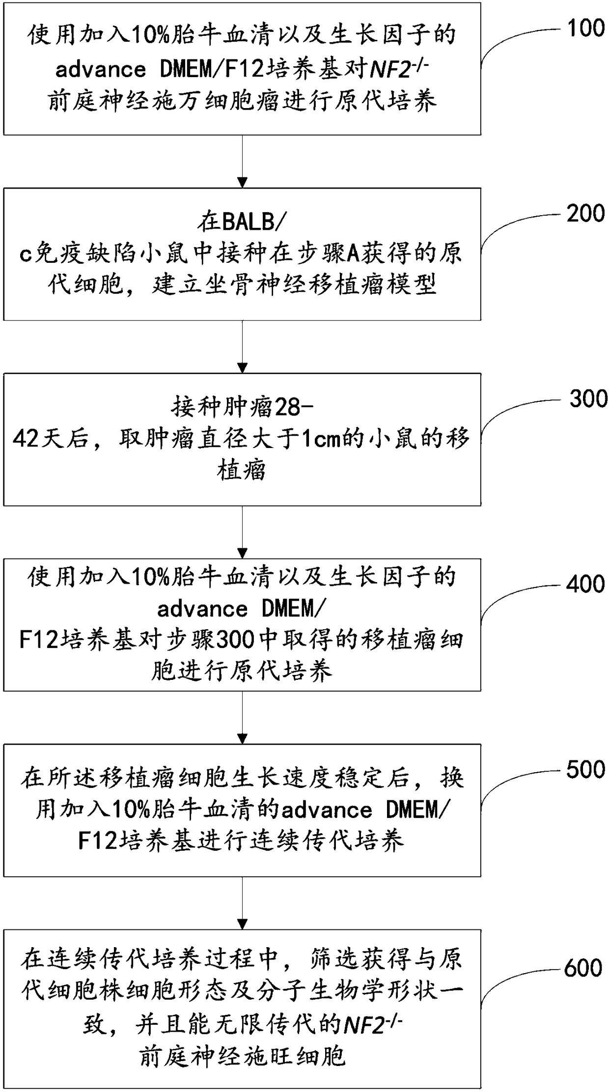 NF2-/- vestibular schwannoma Schwann cell line and establishment method thereof