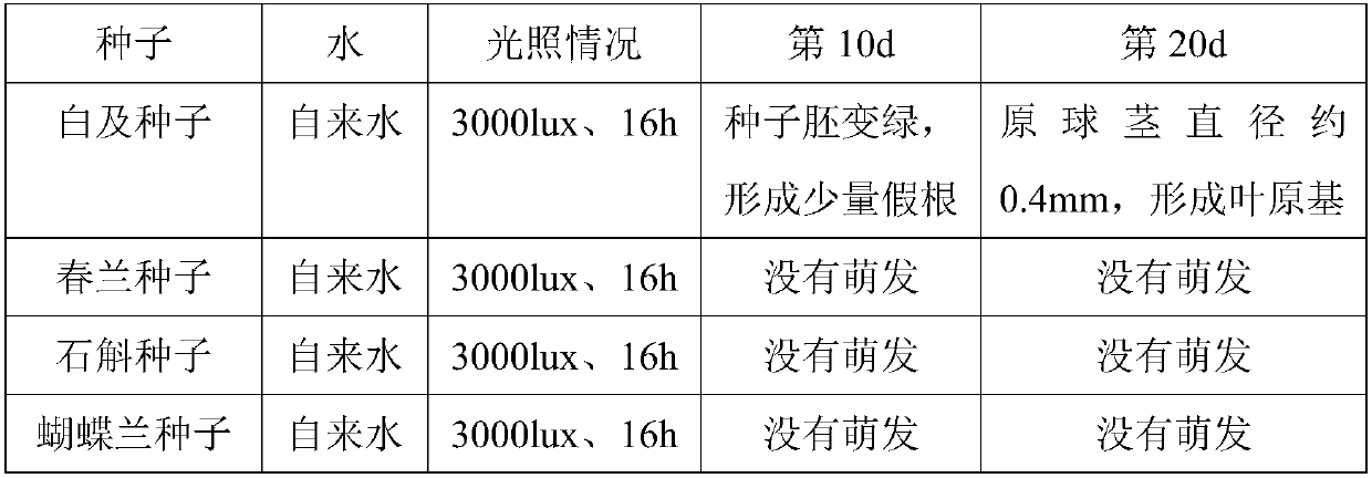 Method for culturing seedlings by using bletilla striata seeds