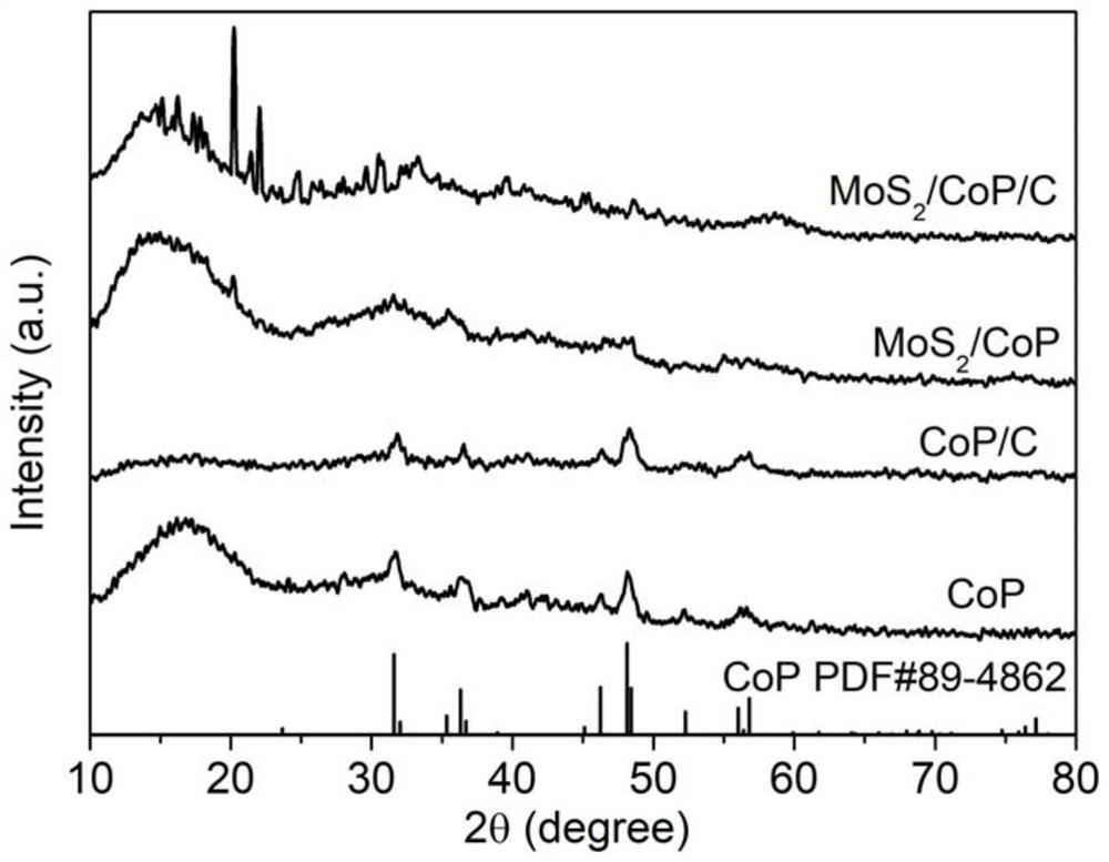 Carbon-doped MoS2/CoP/C composite antibacterial material, preparation method and application thereof