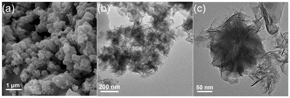 Carbon-doped MoS2/CoP/C composite antibacterial material, preparation method and application thereof