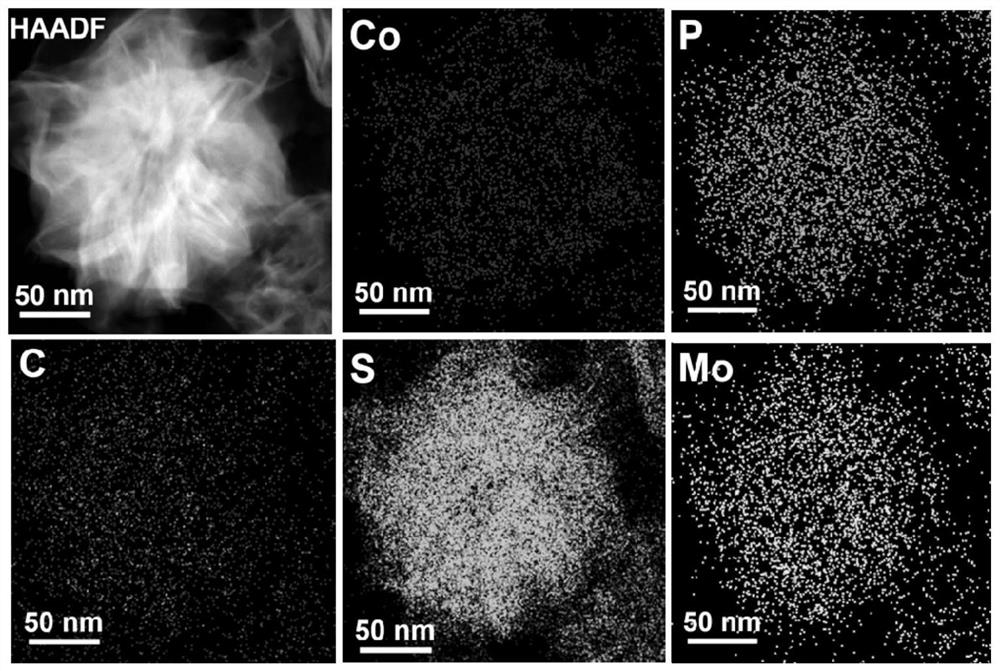 Carbon-doped MoS2/CoP/C composite antibacterial material, preparation method and application thereof