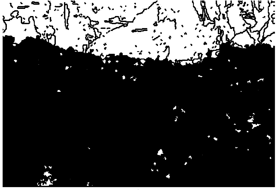 Method of representing microstructure of scale on section of hot-rolled steel plate by adoption of EBSD