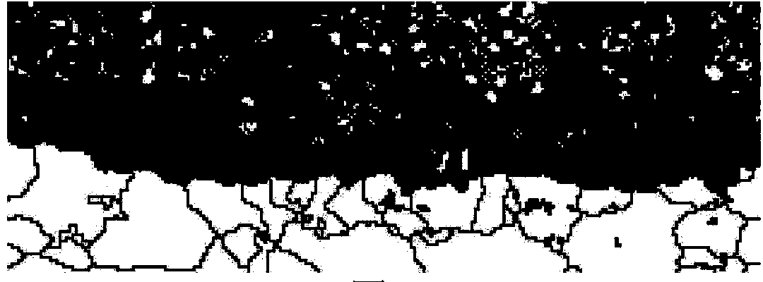 Method of representing microstructure of scale on section of hot-rolled steel plate by adoption of EBSD