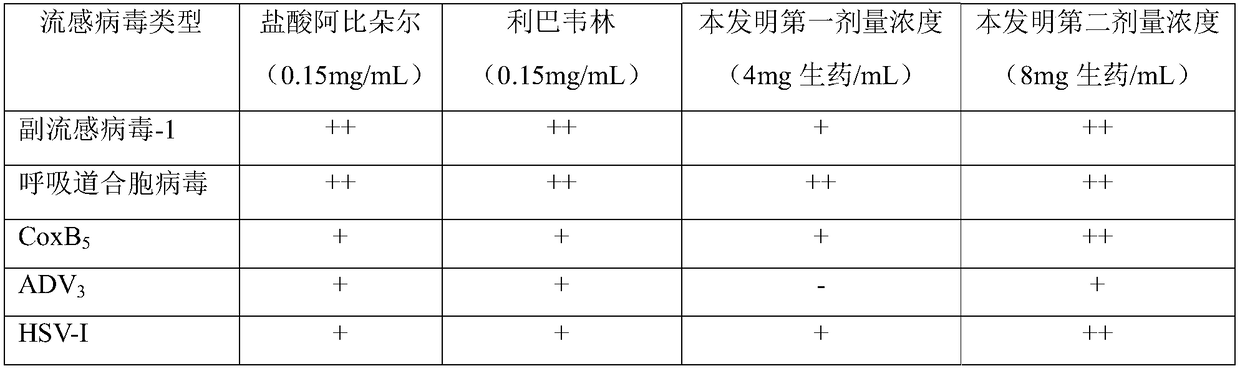 A kind of cold medicine for treating cold