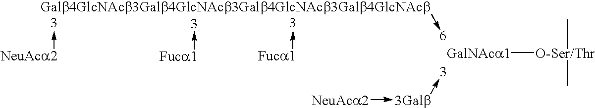 Myeloglycan