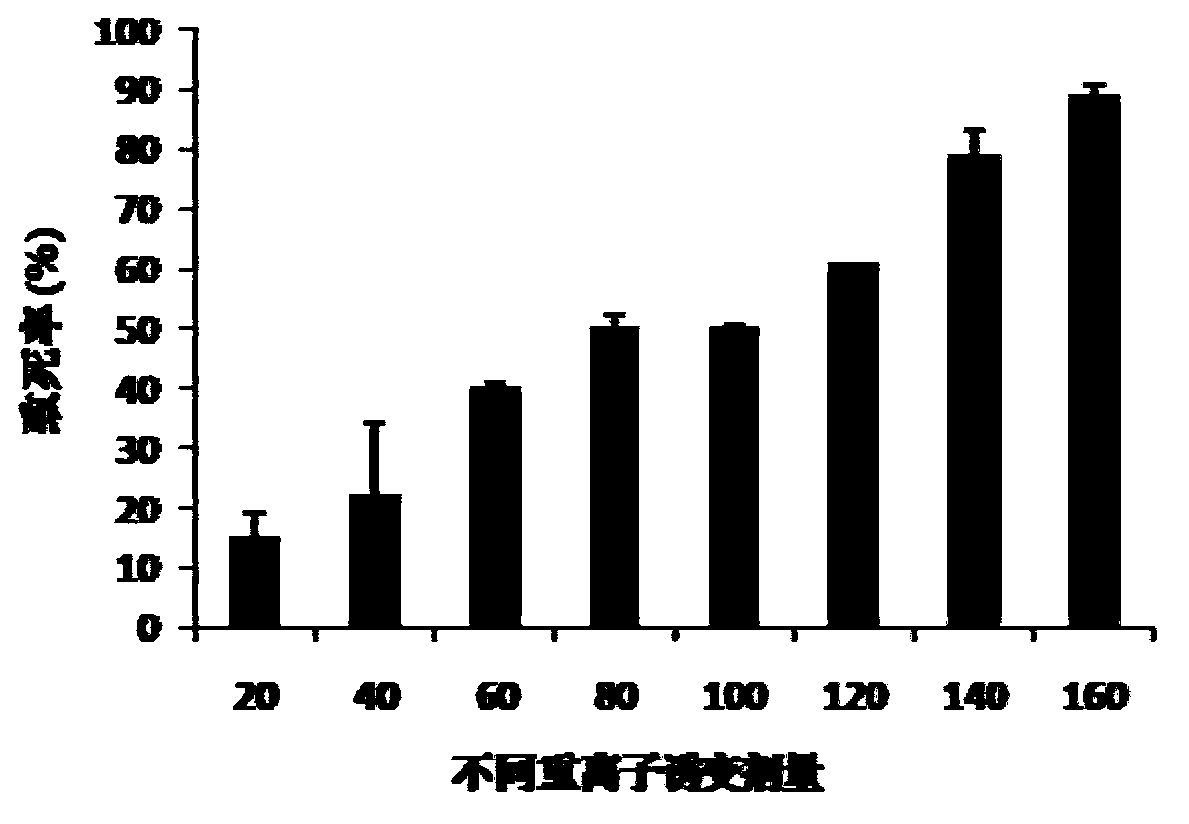 Nannochloropsis sp.OZ-1 mutant strain and heavy ion irradiation selection method for the same