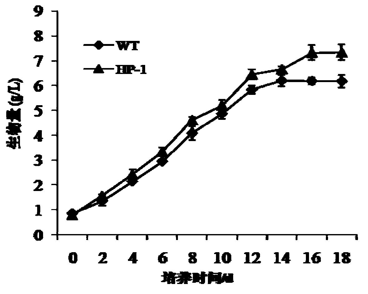 Nannochloropsis sp.OZ-1 mutant strain and heavy ion irradiation selection method for the same