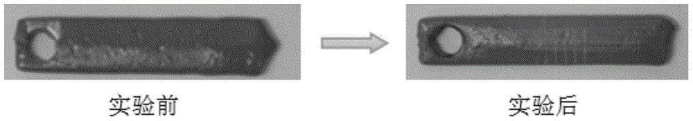 A novel anti-corrosion nanocomposite coating and its preparation method