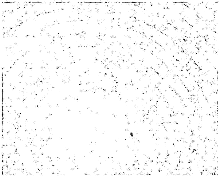 Reliability based weighted least square phase unwrapping calculation method