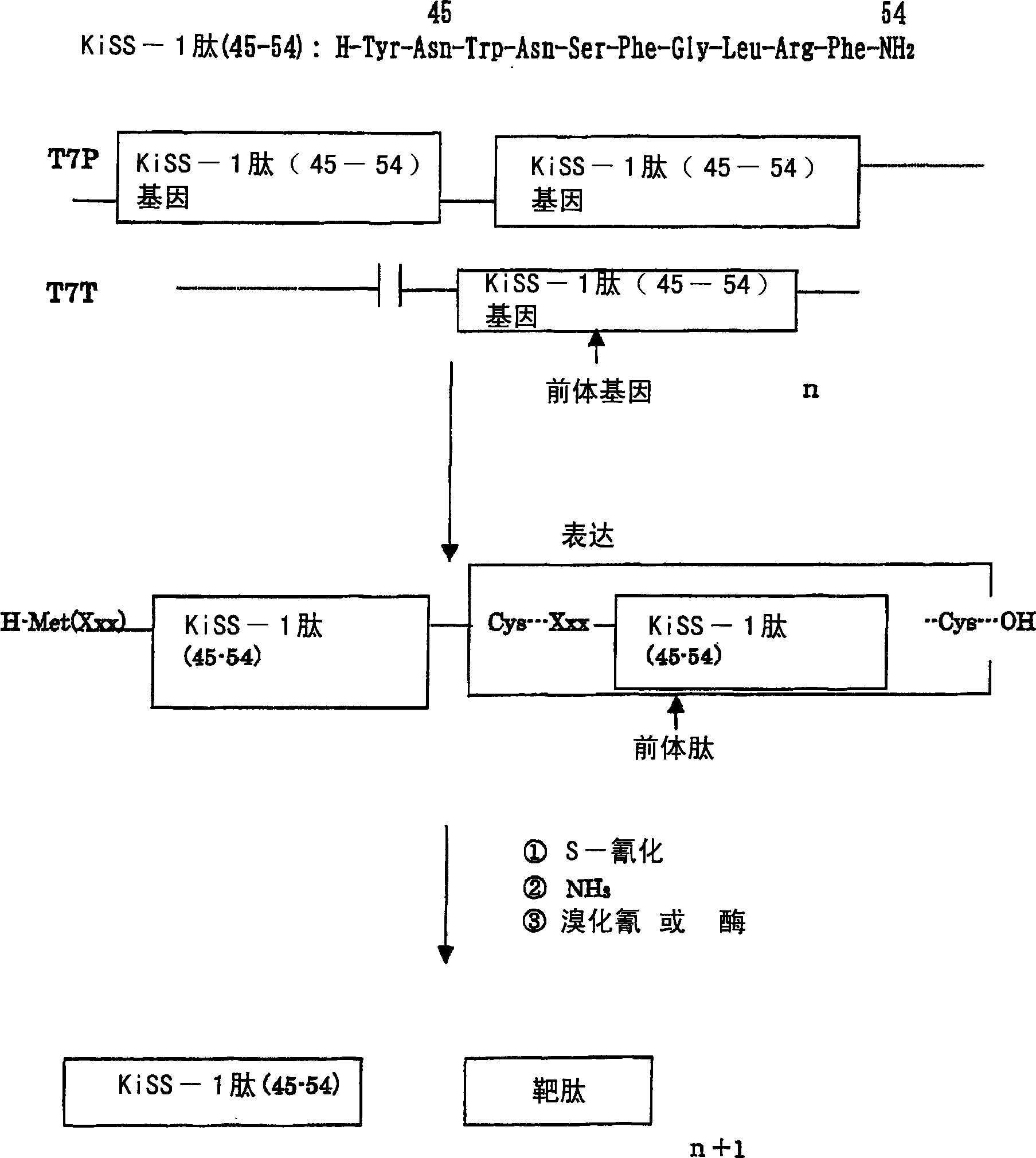 Process for producing peptide