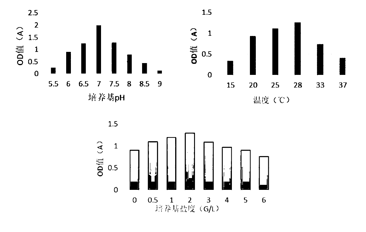 Pseudomonas monteilii for degrading oil as well as application of pseudomonas monteilii