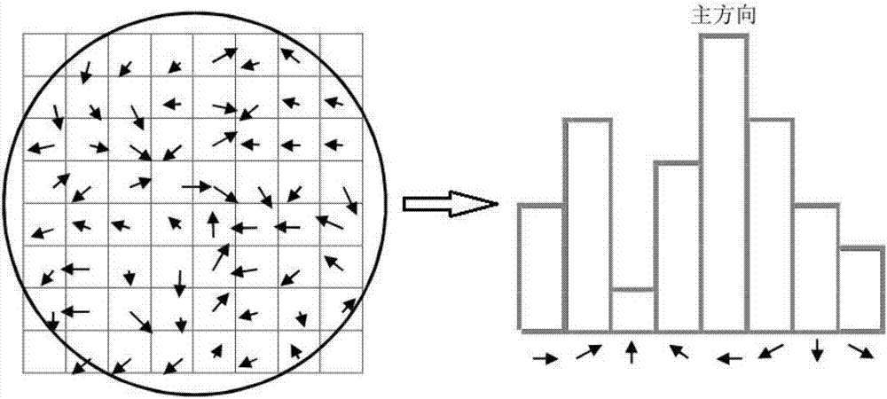 Image classification method based on improved bag-of-visual word model