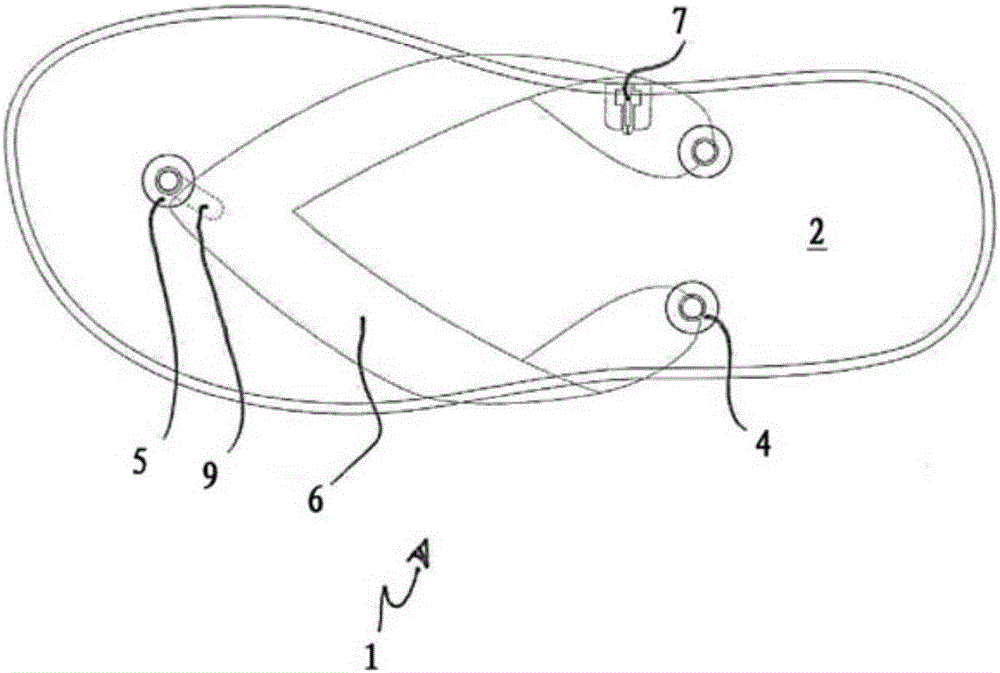 Footwear comprising an elastic intermediate sole