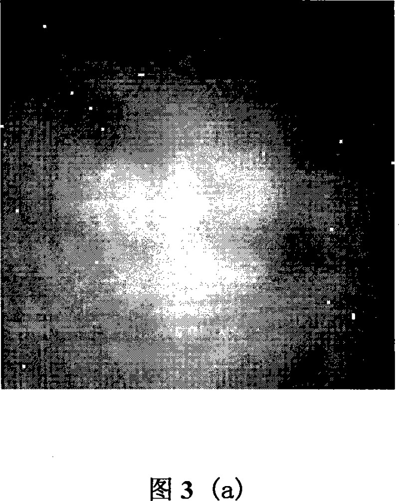 Infrared focal plane array heterogeneity self-adaptive correction method