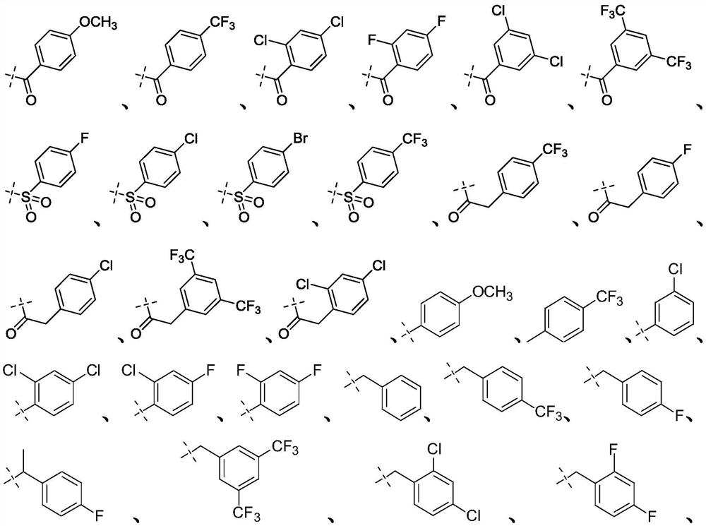 Targeted nk1 receptor antagonists and their application in the treatment of chemotherapy-induced nausea and vomiting