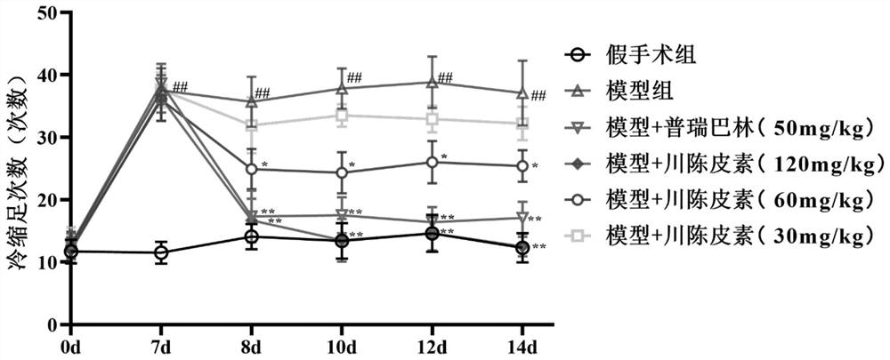 Application of nobiletin in preparation of medicine for treating neuropathic pain