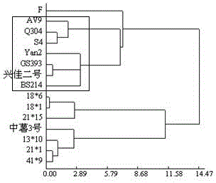 Method for authenticating potato resource cold tolerance and application thereof