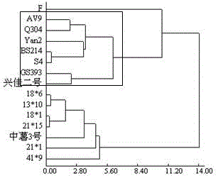 Method for authenticating potato resource cold tolerance and application thereof