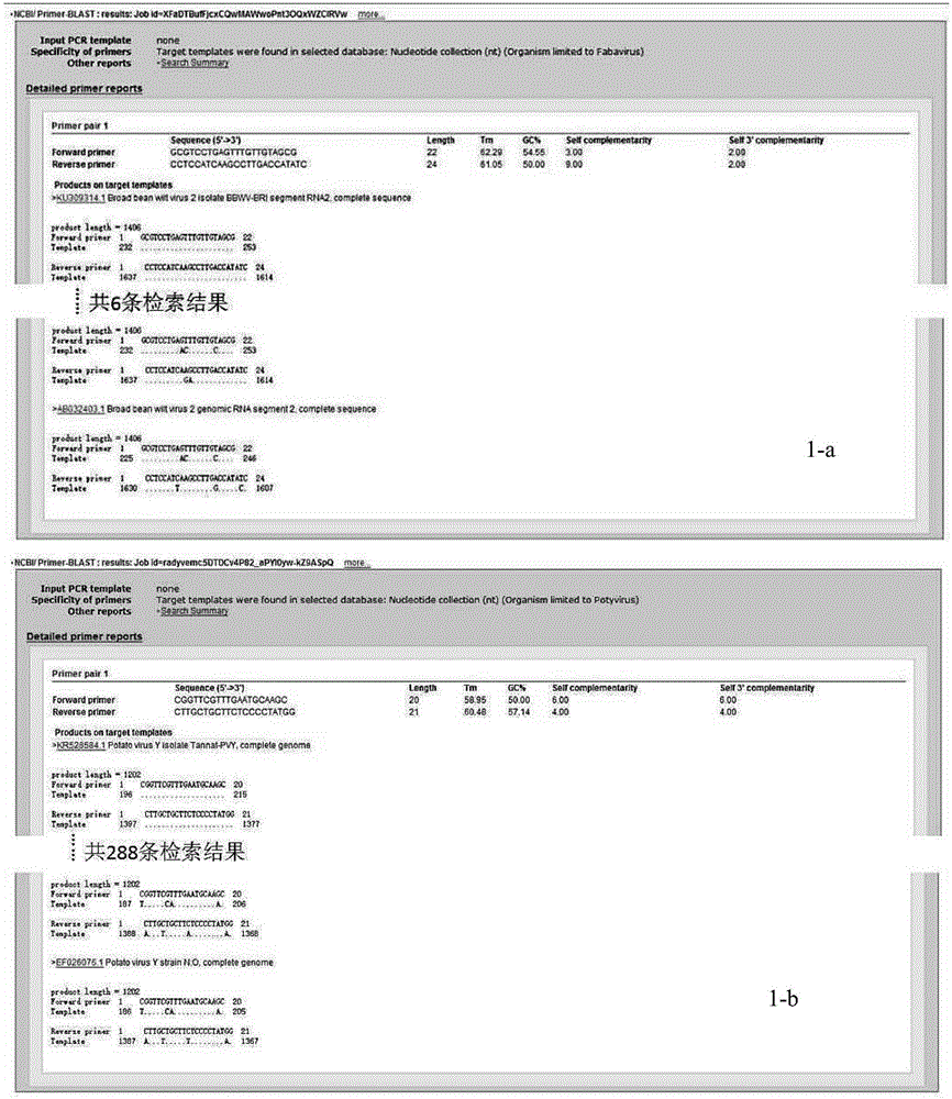 Multi-PCR (Polymerase Chain Reaction) method for synchronously detecting four chilli viruses