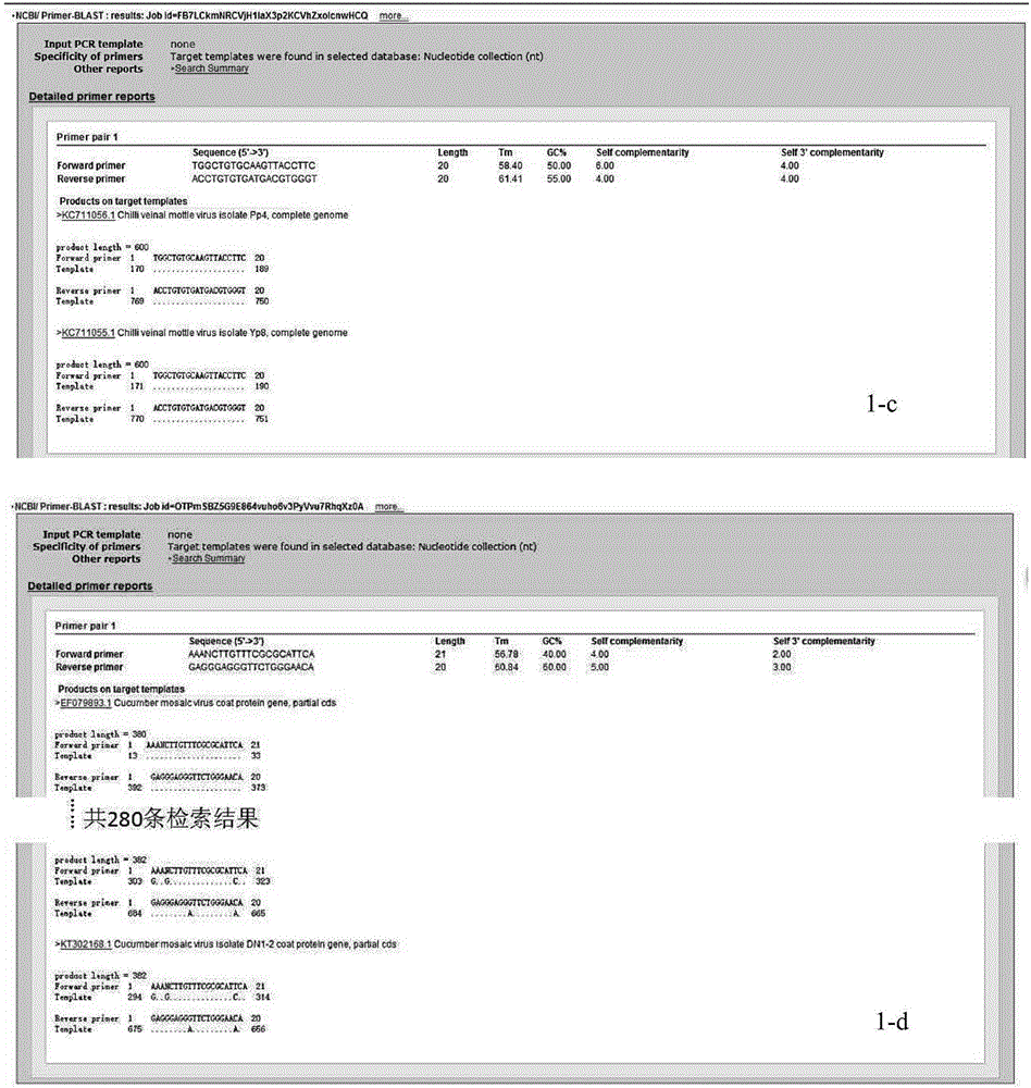 Multi-PCR (Polymerase Chain Reaction) method for synchronously detecting four chilli viruses