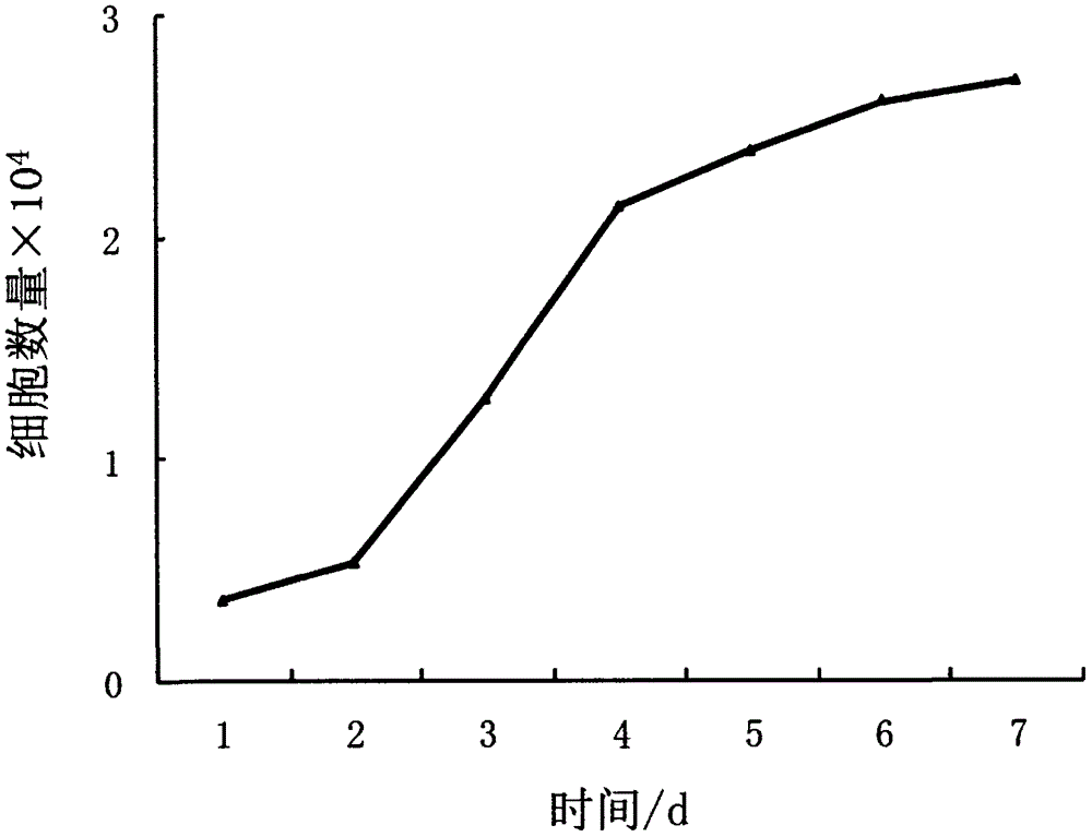 A kind of fine wool follicle stem cell separation and culture method