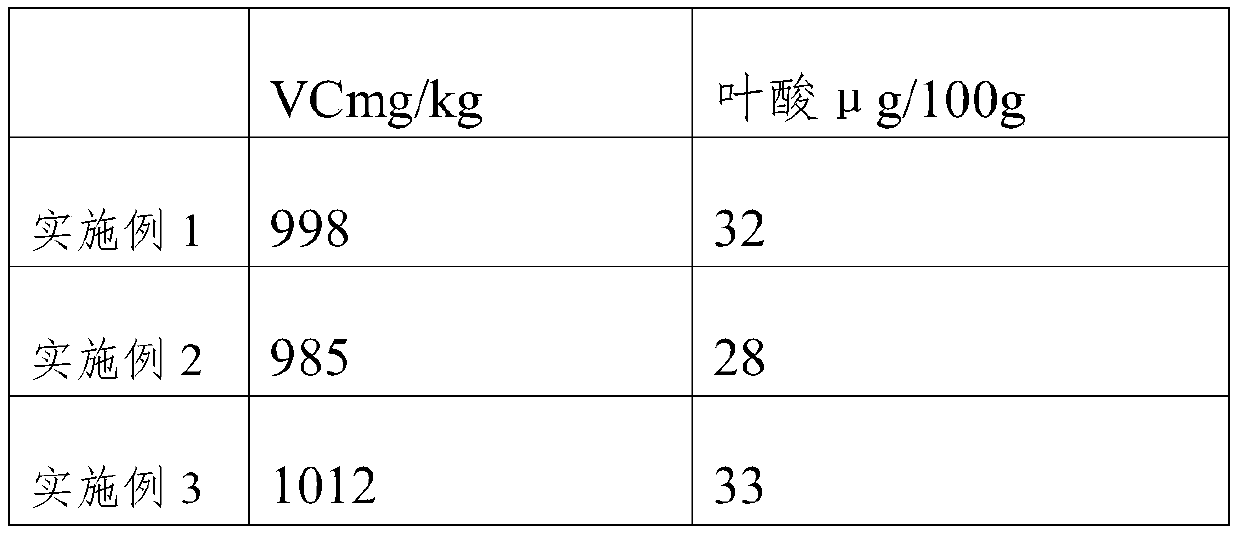 Seed cultivation method for improving salt tolerance of head cabbage