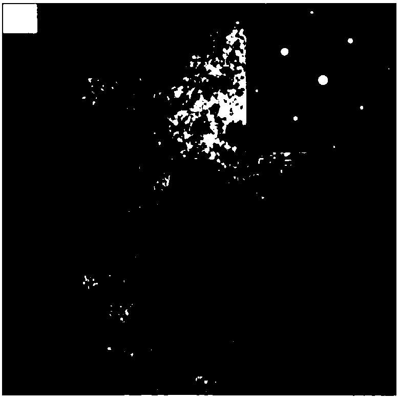 Pretreatment method for improving natural aging stability of 6000 series aluminum alloy material