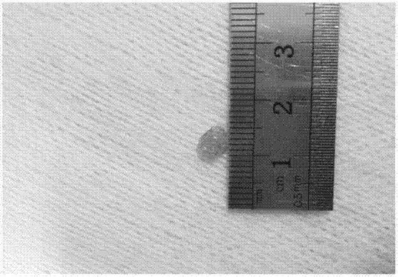 Multi-element perovskite material, as well as preparation and application thereof