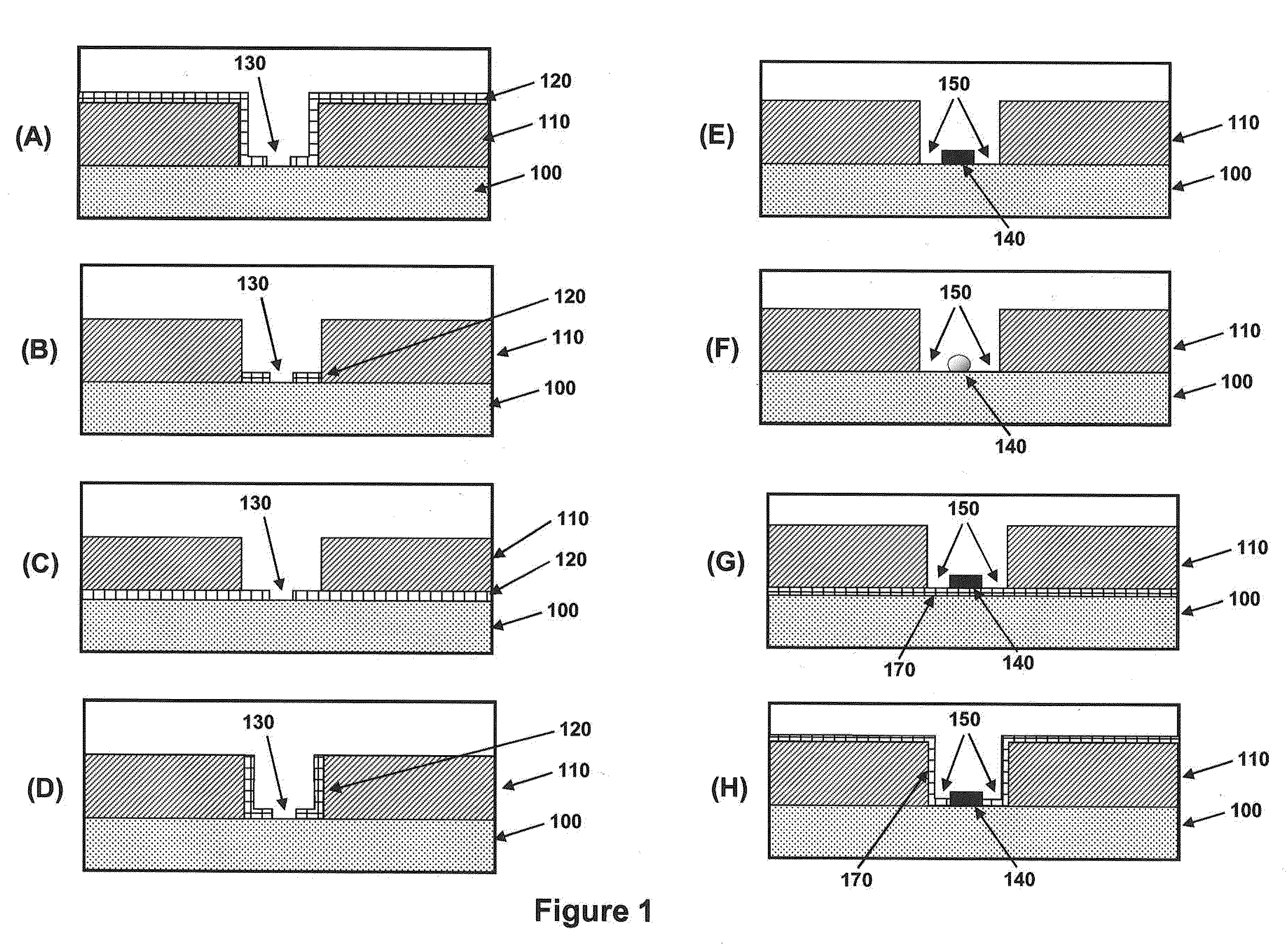 Nanoscale apertures having islands of functionality