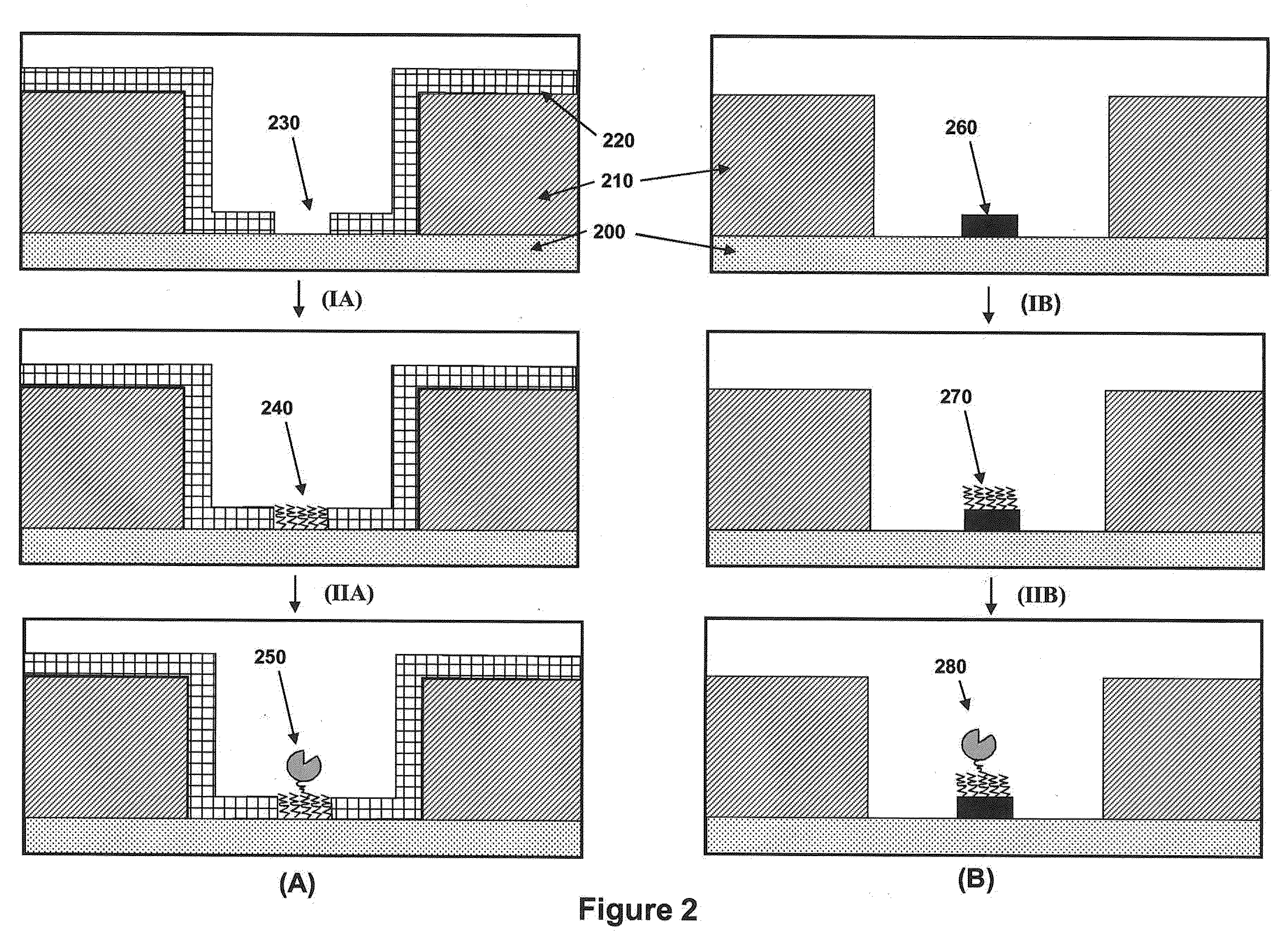 Nanoscale apertures having islands of functionality