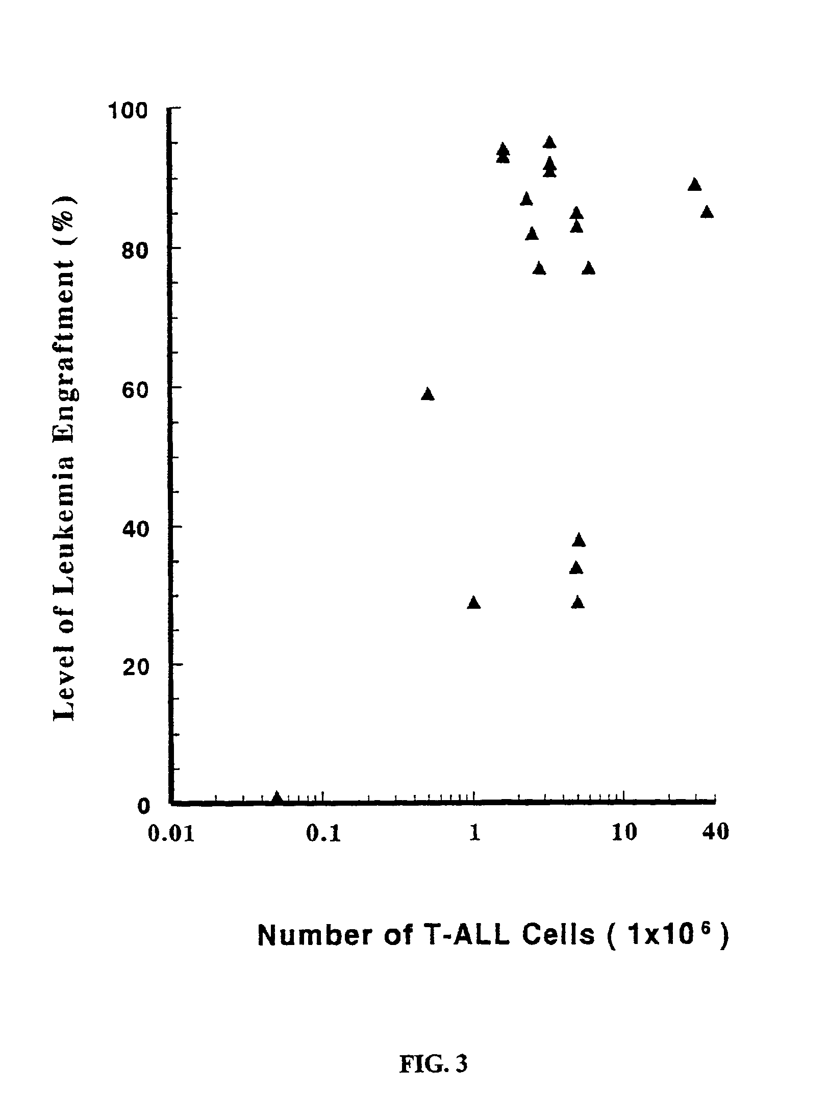 In vivo animal model of human leukemia